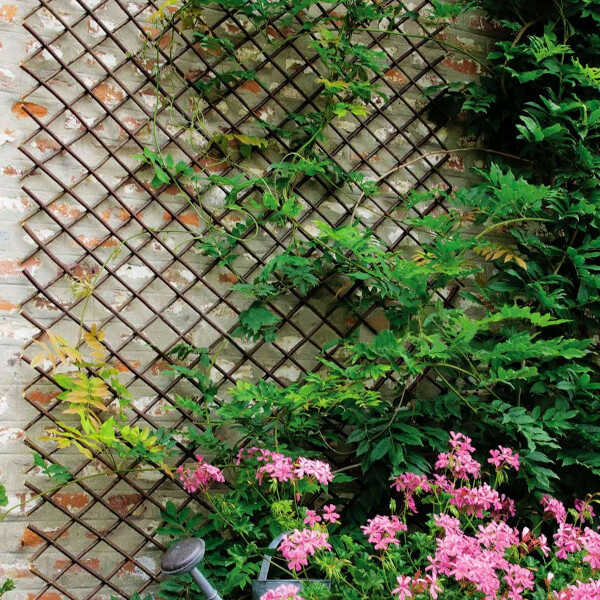 Expandable Willow Trellis in the Garden